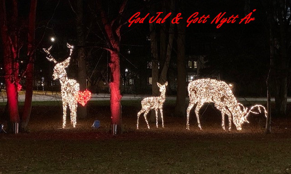 Christmas Reindeer