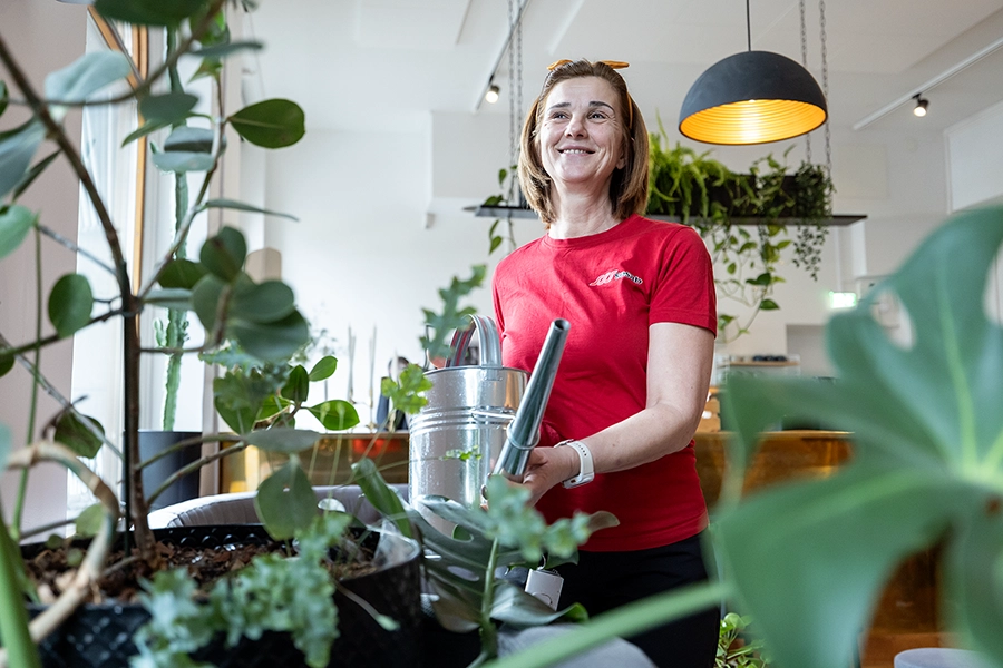 Medarbetare som vattnar krukväxter